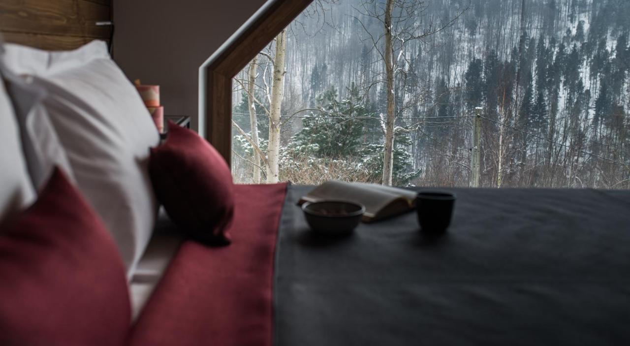 Aspen Deluxe Residence & Aspen Cottage Międzybrodzie Bialskie Exteriör bild